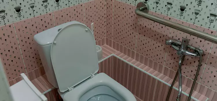 Meeting Diverse Needs With Accessible Restroom Solutions in Shoreview, MN